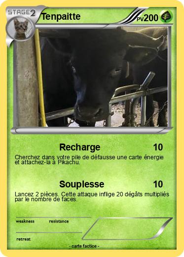 Pokemon Tenpaitte
