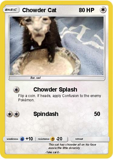 Pokemon Chowder Cat