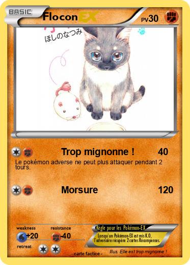 Pokemon Flocon