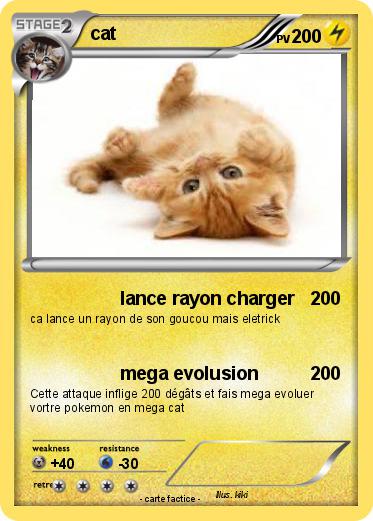 Pokemon cat