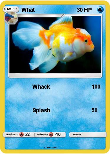 Pokemon What