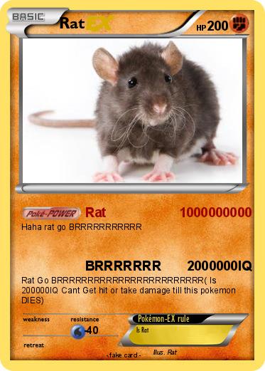 Pokemon Rat