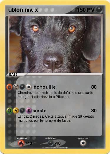 Pokemon ublon niv. x                                                                     300pv