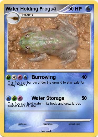 Pokemon Water Holding Frog