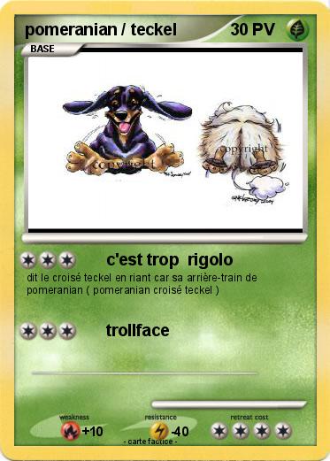 Pokemon pomeranian / teckel