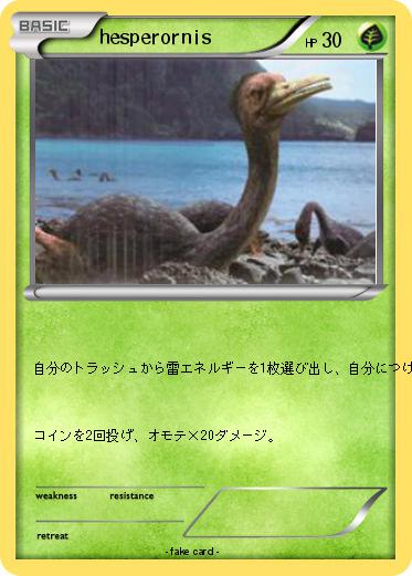 Pokemon hesperornis