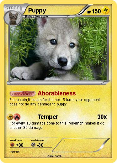 Pokemon Puppy