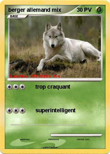 Pokemon berger allemand mix