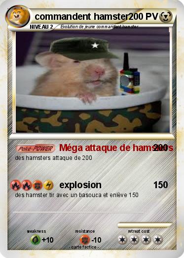 Pokemon commandent hamster