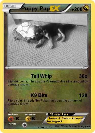 Pokemon Puppy Pup