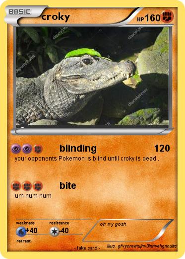Pokemon croky