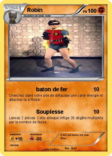 Pokemon Robin