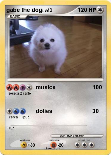Pokemon gabe the dog