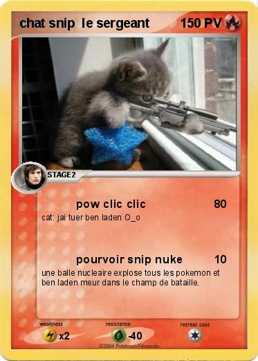Pokemon chat snip  le sergeant 