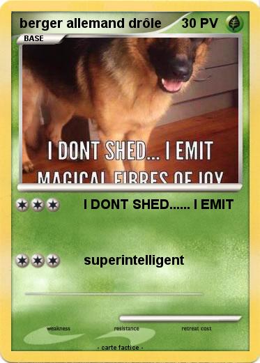 Pokemon berger allemand drôle
