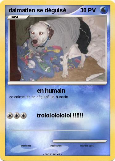 Pokemon dalmatien se déguisé