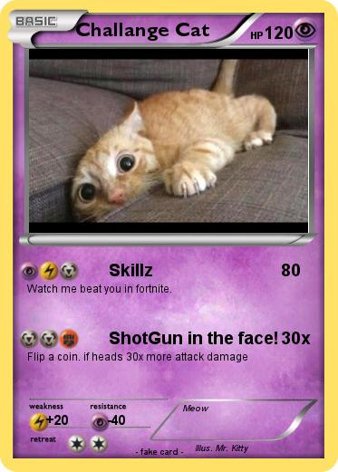 Pokemon Challange Cat