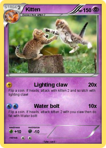 Pokemon Kitten