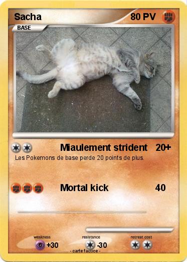 Pokemon Sacha