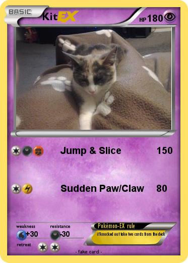 Pokemon Kit