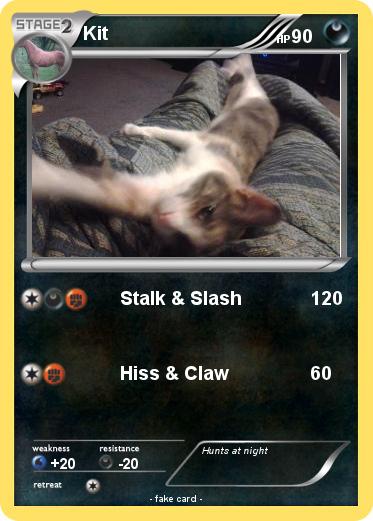 Pokemon Kit