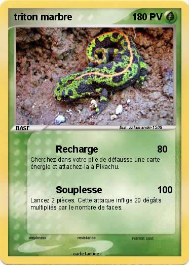 Pokemon triton marbre