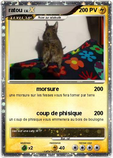 Pokemon ratou