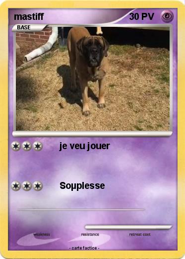 Pokemon mastiff