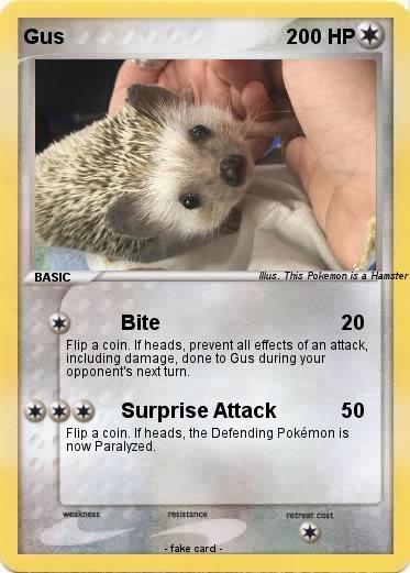 Pokemon Gus