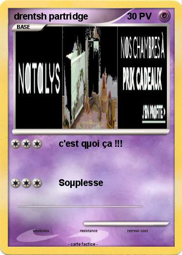 Pokemon drentsh partridge