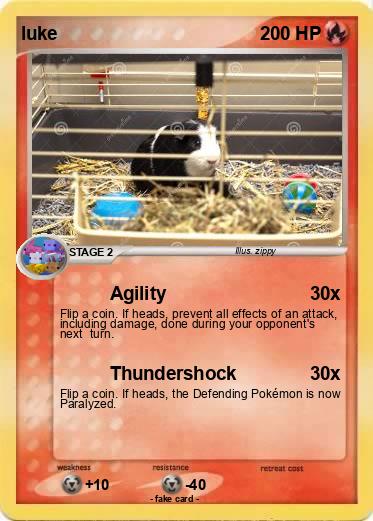 Pokemon luke