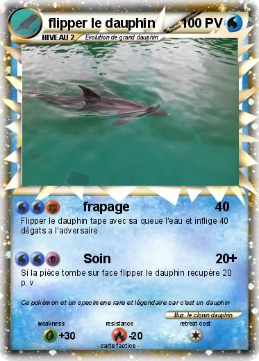 Pokemon flipper le dauphin