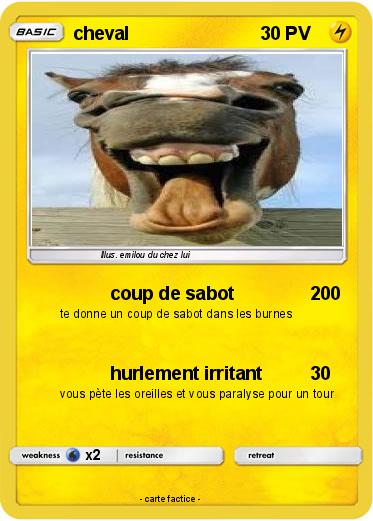 Pokemon cheval