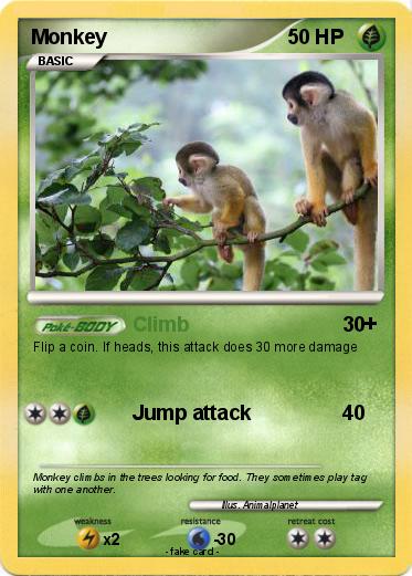 Pokemon Monkey