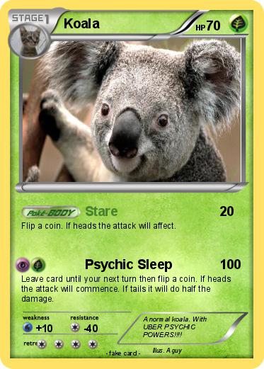 Pokemon Koala