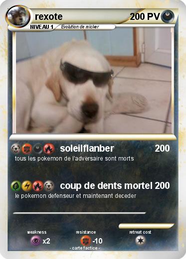 Pokemon rexote
