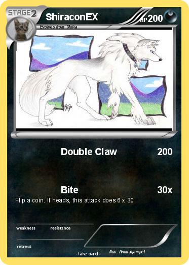 Pokemon ShiraconEX