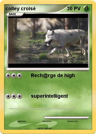 Pokemon colley croisé