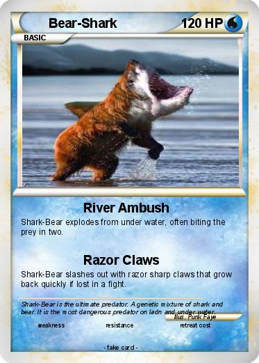Pokemon Bear-Shark