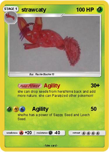 Pokemon strawcaty