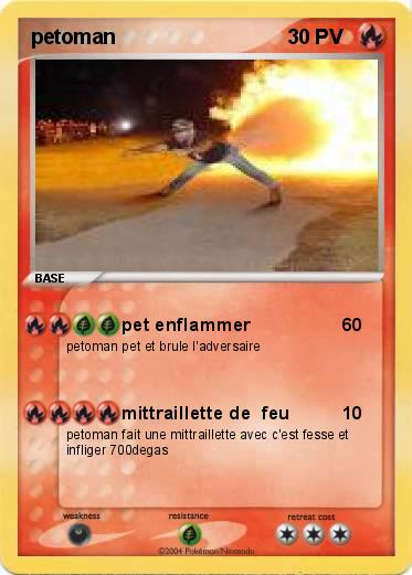 Pokemon petoman