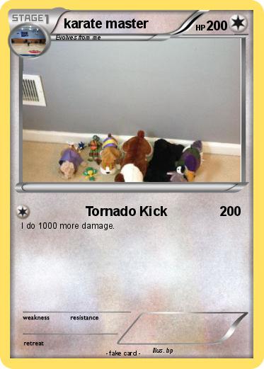 Pokemon karate master