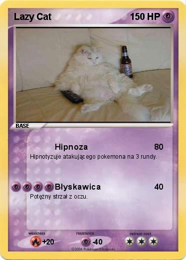 Pokemon Lazy Cat