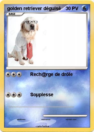 Pokemon golden retriever déguisé
