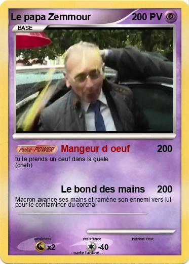 Pokemon Le papa Zemmour