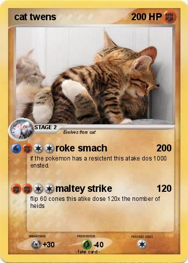 Pokemon cat twens