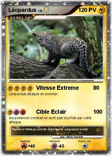Pokemon Léopardus