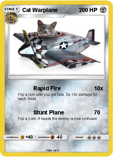 Pokemon Cat Warplane