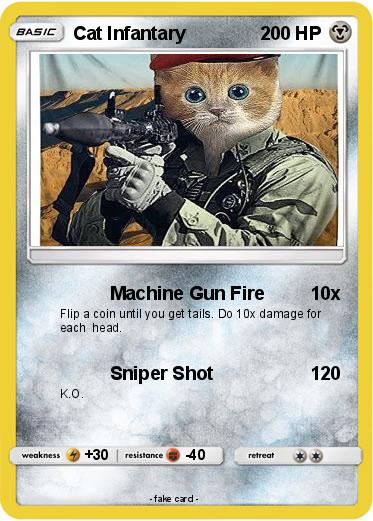 Pokemon Cat Infantary