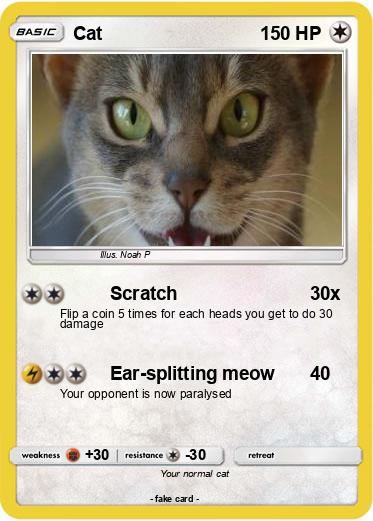 Pokemon Cat